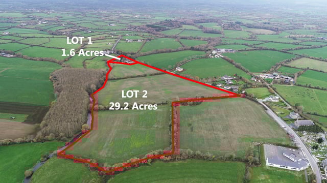 'Prime agricultural land' for sale in 2 lots in Co. Wexford