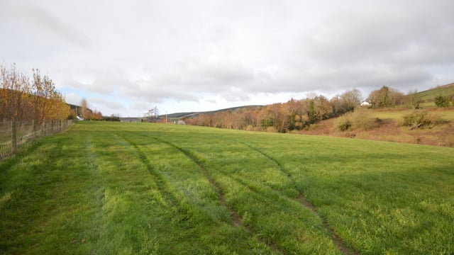 12.5ac Bunclody land suitable for array of ag enterprises