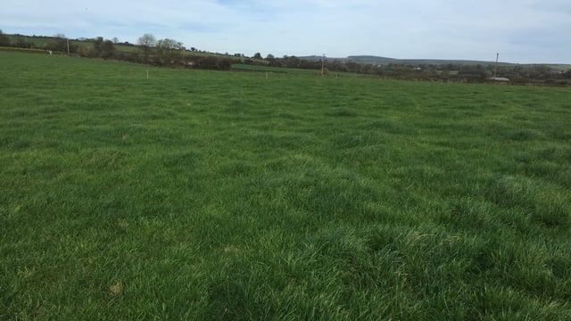 35ac block of Cork grassland for auction in probate sale
