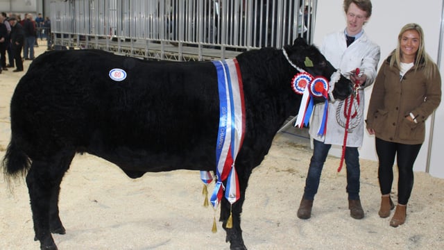 Miller steals the show at Beef and Lamb Championship