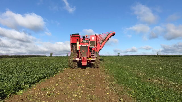 Positive reaction to beet...ambitious target set