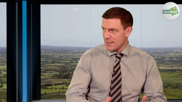 Talks continuing with Cherbourg lairage owners - Burke