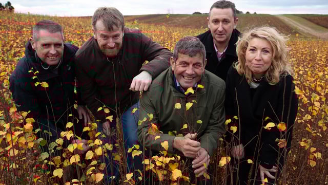 5 million broadleaf trees to be planted in Ireland this year