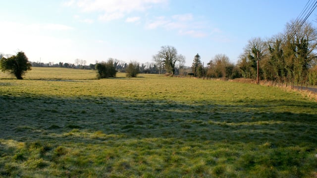 'Superb farm and lands' for sale in 3 lots in Co. Meath