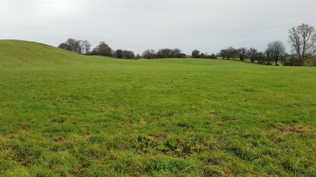 103ac farm for sale with a 'reputation for producing top-quality beef cattle'