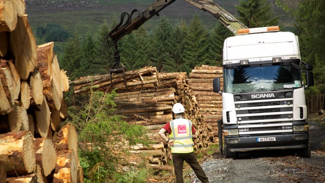Resource launched to help forest owners selling timber