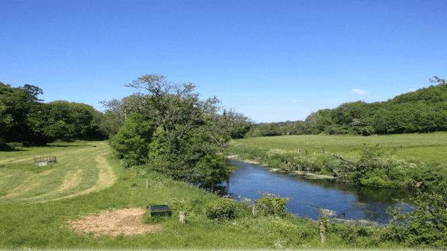 What can Irish agriculture do to reduce greenhouse gas emissions?