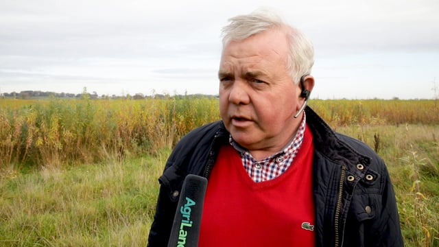 'Willow incentives must mirror forestry sector'
