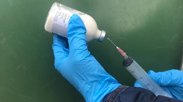What is best practice when it comes to injecting my cattle?