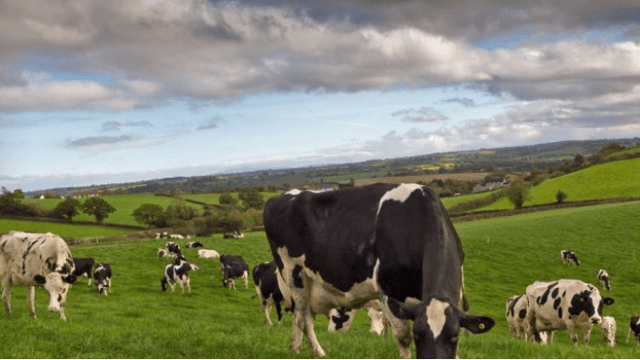 Creed confirms details of Johne’s Control Programme