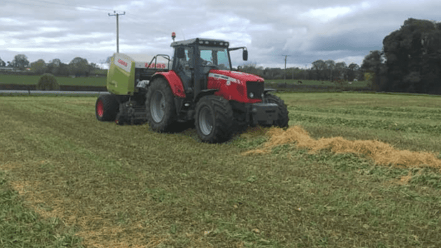 Thinking of baling forage crops? Here are some tips