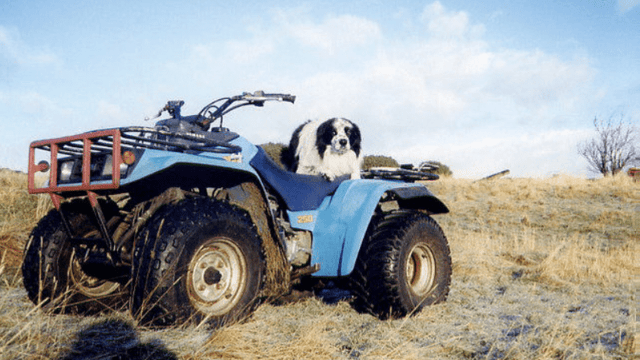 Parents urged not to buy quad bikes for kids this Christmas