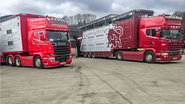 Analysis: The Irish live cattle export market in 2018