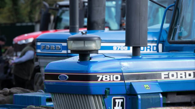 Auction report: On-farm sale sees ‘blues’ and ‘reds’ up for grabs