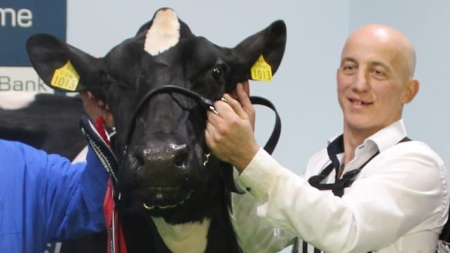 Co. Dublin breeder wins Royal Ulster Winter Fair Inter-Breed Championship