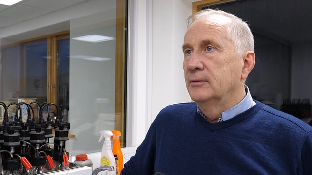 How can Irish grassland farmers tap in on a 'green oil' boom?