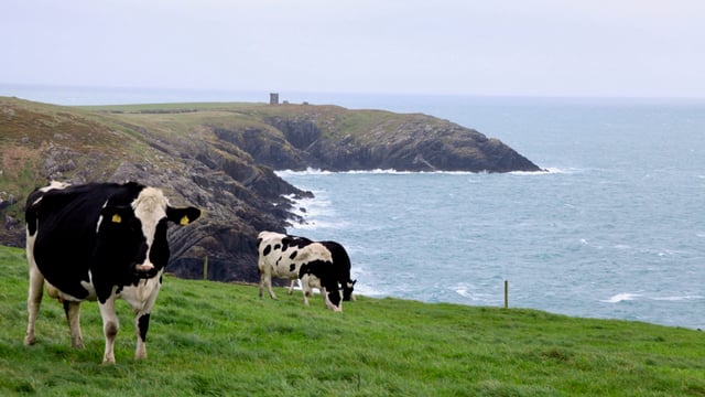 2050 targets: Agriculture needs to improve 'environmentally and commercially'