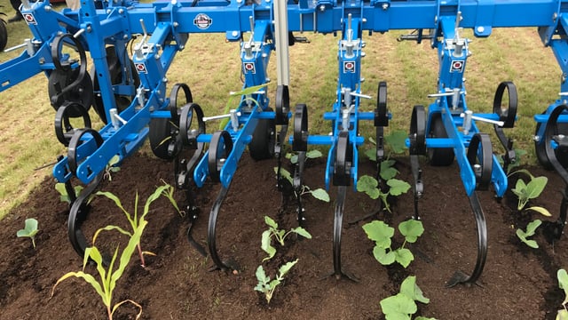 2018...when the hoe came back in fashion on the tillage tramlines