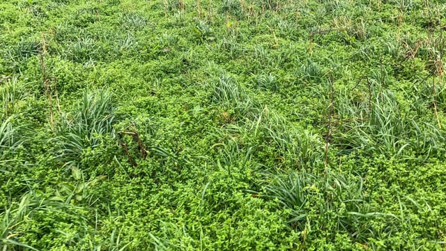 €5.3m in payments on way to 1,000 organic farmers