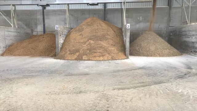 Protein content in animal feed rations declining