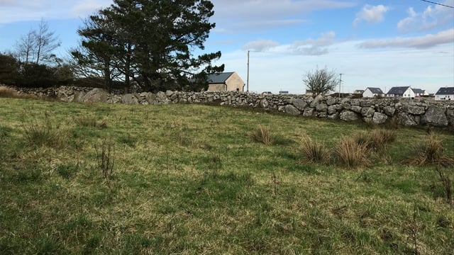 Mixed farm gives opportunity for local Galway landowners to extend existing holding