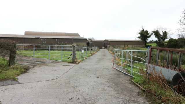 Are your farm roadways allowing for optimal cow flow?