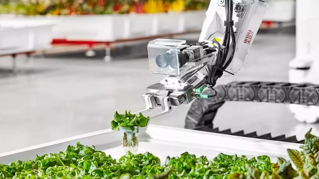 Views sought on strategy to make NI agri-food sector the most innovative in the UK
