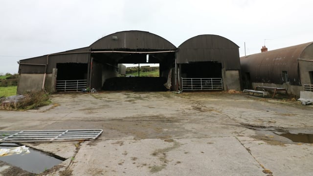 Farms that 'cease business' to be included in new Jobseeker's Benefit initiative
