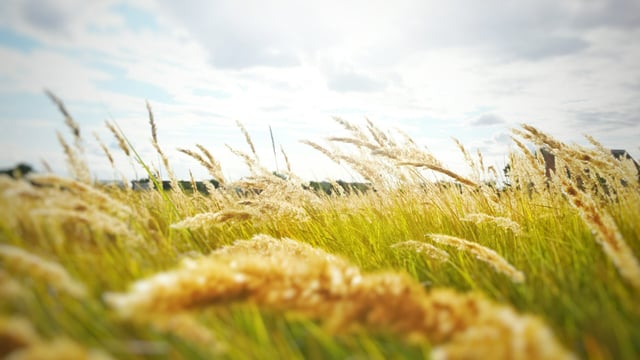 Wind warning issued for 2 more counties
