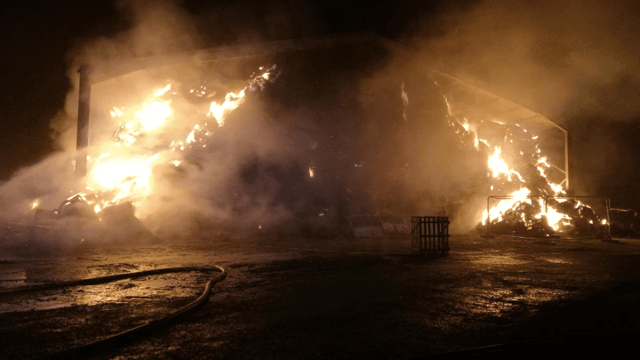 Farm of Dyson boss targeted in suspected arson attack