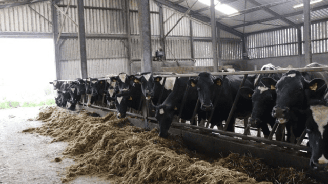 'Genetics is a key tool to help improve fertility'