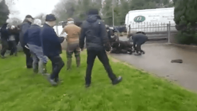 Video: Roscommon incident 'Violence at any stage solves nothing'