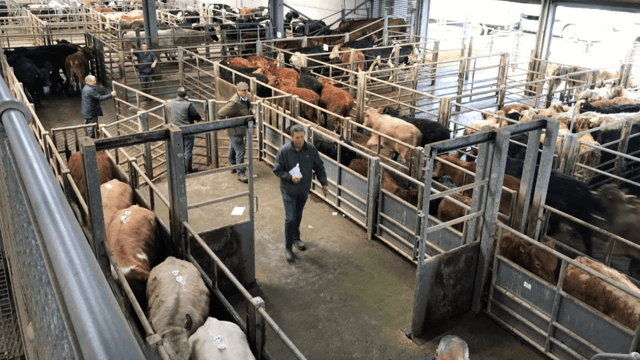 Mart trade: Quality stock getting scarce as numbers drop back