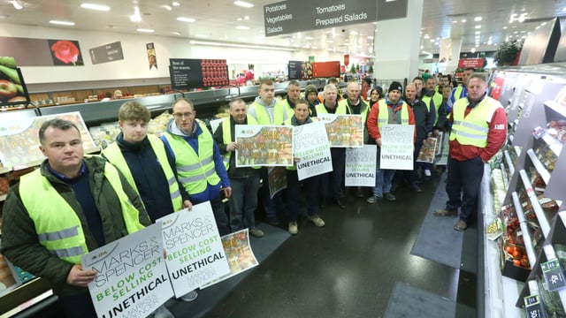Number of Irish vegetable growers drops 56% in 15 years