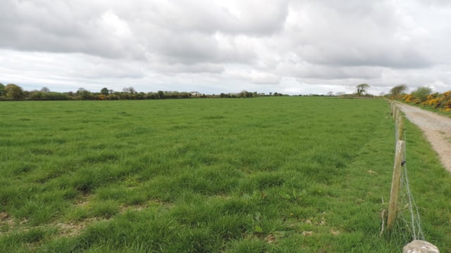 Multi-purpose farm on the market for €10,000/ac in Co. Wexford