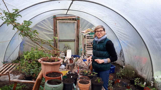 Mayo smallholder hosts female social farmer placement