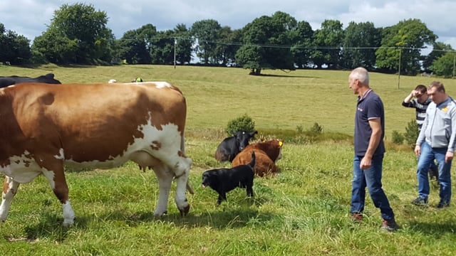 Social Farming benefits to be highlighted at open day