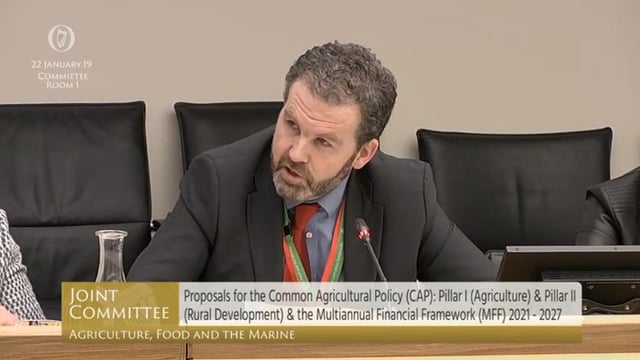 Time ticking for Irish CAP plan as negotiations continue