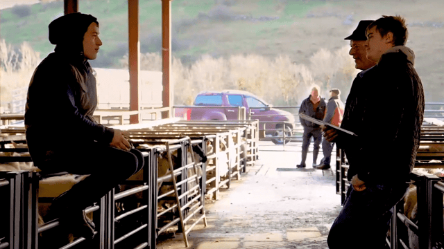 Are you looking for a job in the farming world?