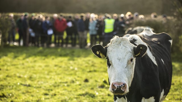 Leitrim Macra to host 'range of events' tomorrow