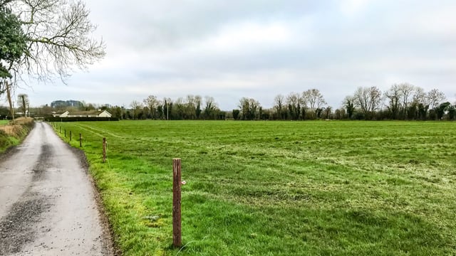 The best order to close paddocks for spring 2023 grazing