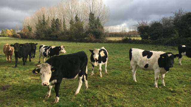 Location strong selling point for Newbridge land