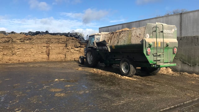 What impact could poor-quality silage have on my suckler herd?