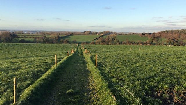 47ac residential farm offers commercial and agricultural potential