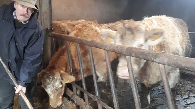Farm accident survivor: 'I might not be here at all'