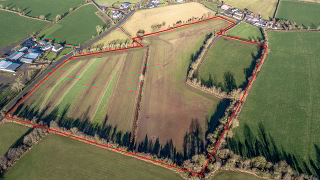 Lots for sale suitable for big or small agri-enterprise in Co. Offaly