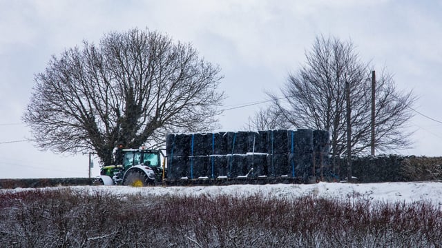 Snow-ice warning issued for 5 counties with accumulations in areas