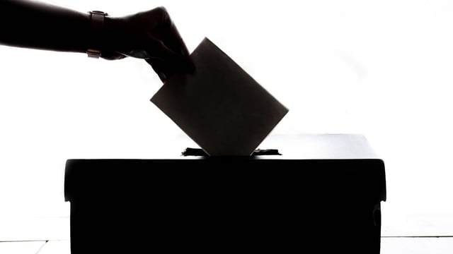 'Ballot farmers on CAP' urges Irish Family-Farm Rights Group