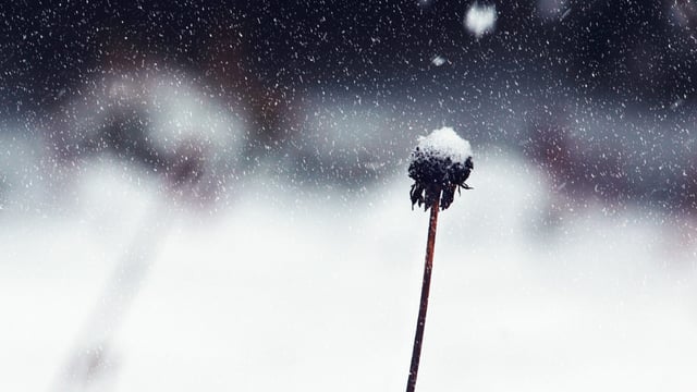 Wind warning for south - with first snow of 2019 forecast