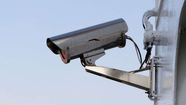 DAERA: Consultation launched on mandatory CCTV in NI slaughterhouses